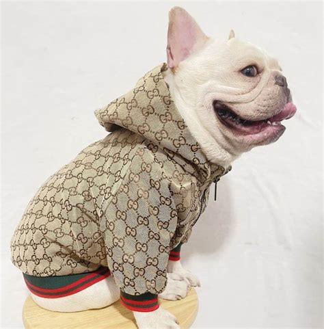 gucci pet grey|gucci designer dog clothing.